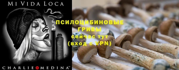 эйфоретик Вуктыл