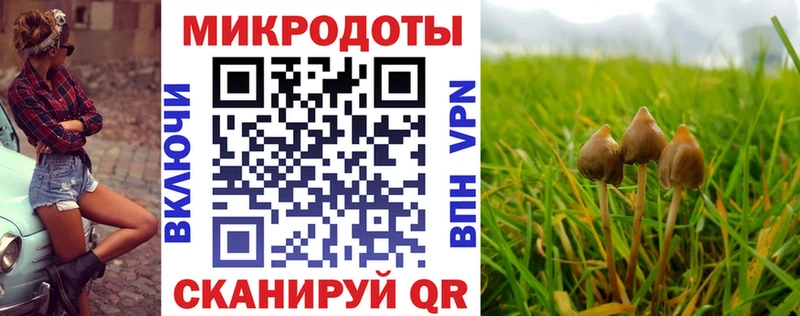 закладки  Рославль  Галлюциногенные грибы мицелий 