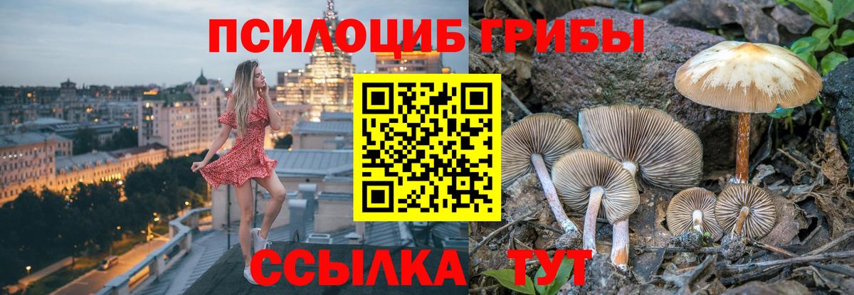 Галлюциногенные грибы мухоморы  Вход с VPN  Рославль 