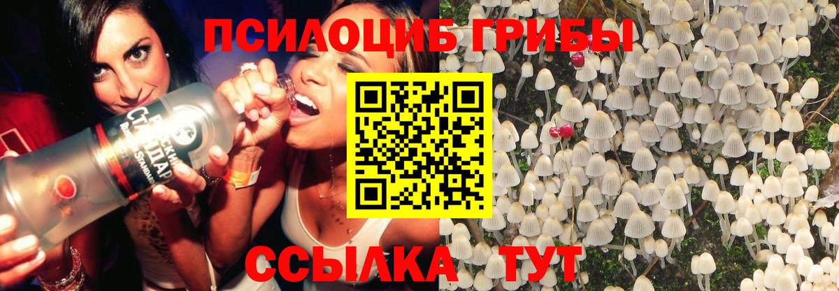 Псилоцибиновые грибы MAGIC MUSHROOMS Рославль